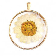 Pendant with dried flowers 35mm - Gold-white